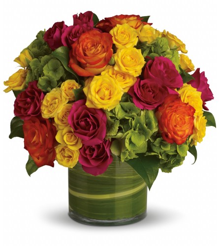 Blossoms in Vogue DW