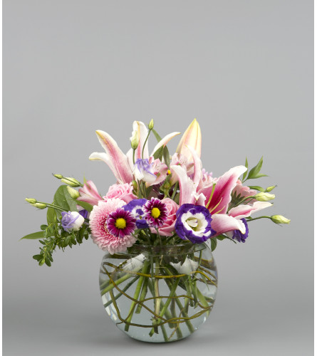 Lily Love