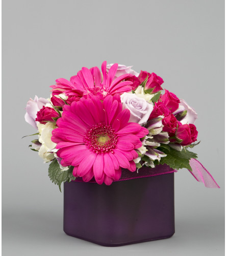 Joyful Pink