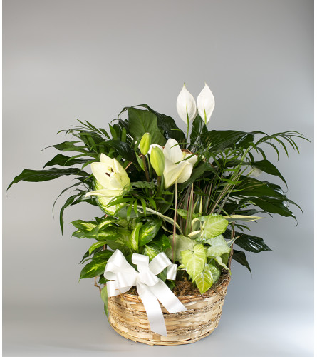 Euro Basket with Lilies 