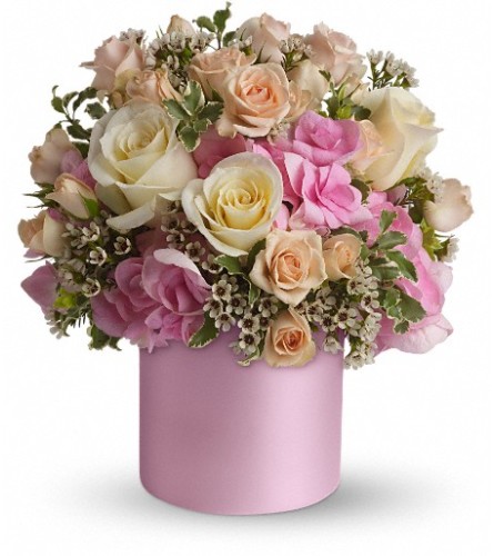 Teleflora's Blushing Beauty