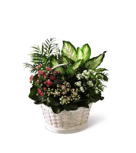 The FTD® Rural Beauty™ Dishgarden