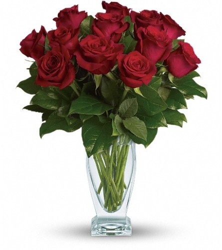 Teleflora's Rose Classique - Dozen Red Roses