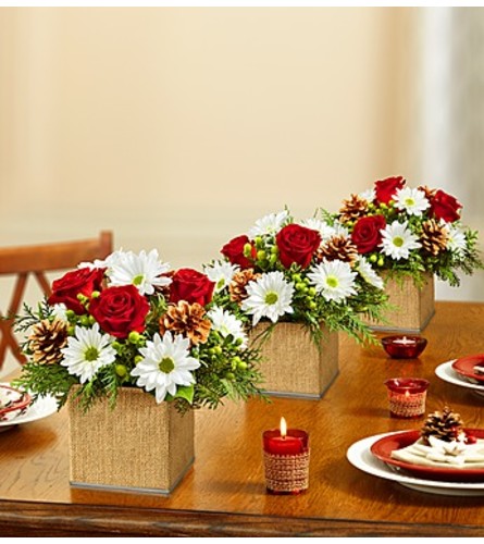 Colors of Christmas Centerpiece