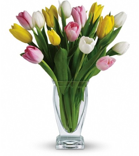 Teleflora's Tulip Treasure