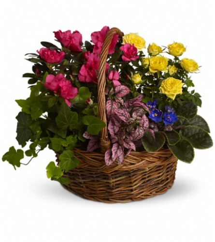 Blooming Garden Basket