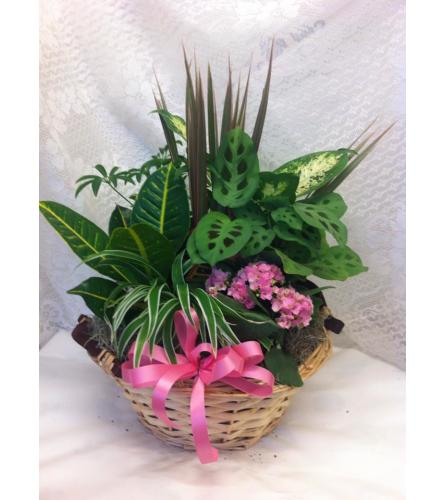 Basket Planter