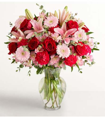 The Fields of Europe® Romance - Extra Large. An arrangement by Sicola's Florist.