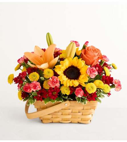 The Fields of Europe® for Fall Basket - Deluxe. An arrangement by 1800flowers Encinitas.