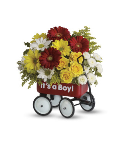 Baby Boy's Welcome Wagon. An arrangement by Awesome Blossom.