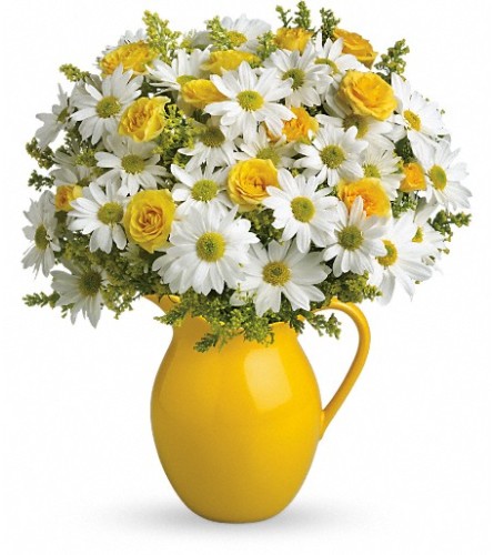 Teleflora's Sunny Day Pitcher of Daisies