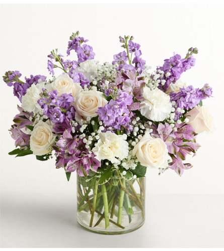 The Lovely Lavender Medley™ Extra Large. An arrangement by Sicola's Florist.