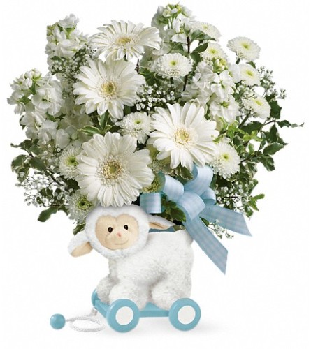 Teleflora's Sweet Little Lamb - Baby Blue