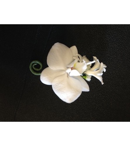 phalaenopsis boutonniere