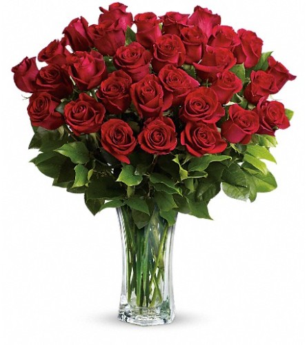 Love and Devotion - Long Stemmed Red Roses