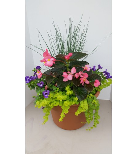 Patio Pot for Shade