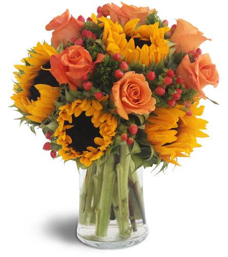 Sweet Harvest Sunflowers™ - Send to Minneapolis, MN Today!