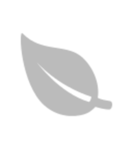 General Arrangement. An arrangement by GardeLina Flowers.