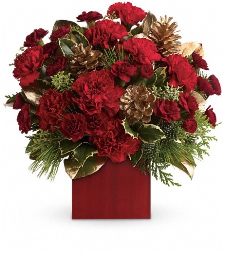 Laughter and Cheer by Teleflora