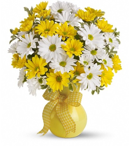 Teleflora's Upsy Daisy