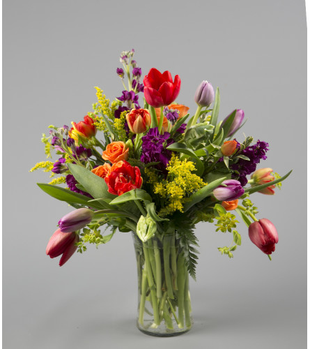A Tulip Splash