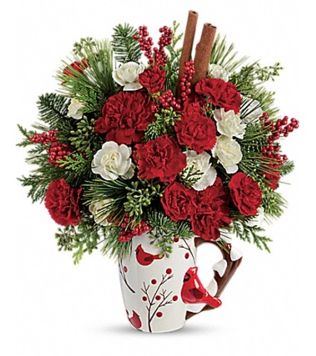 Send a Hug® Christmas Cardinal by Teleflora