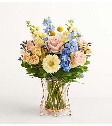 The Daphne's Bliss™ - Deluxe. An arrangement by Sicola's Florist.