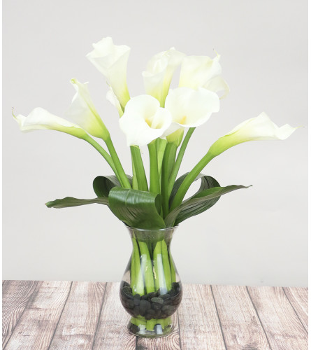 Exquisite Calla Lily 