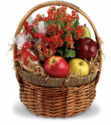 Health Nut Basket with Plant