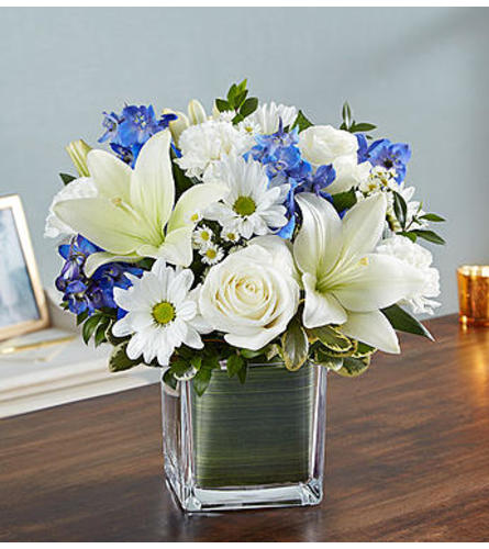 Healing Tears™ Blue and White