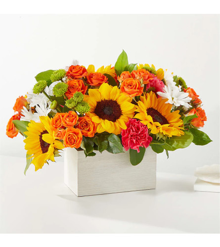 The Sun-Drenched Blooms Box XL
