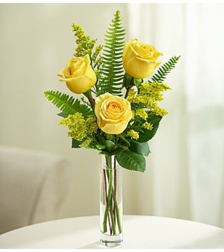 Love's Embrace™ Roses – Yellow