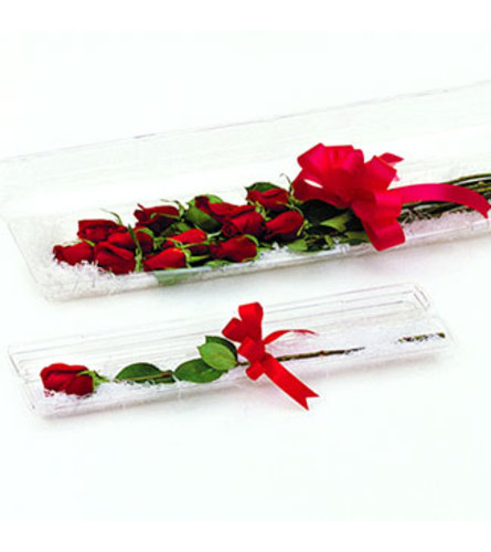 A Dozen Boxed Premium Roses