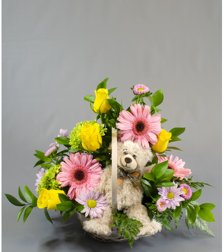 Take Me Home Cute Bear