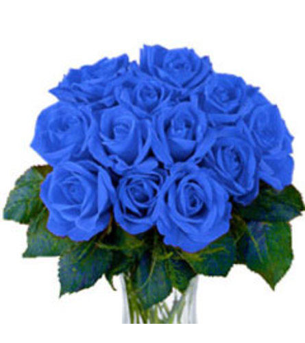 Blue roses in love