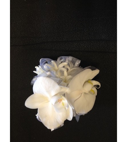 white phalaenopsis orchid corsage