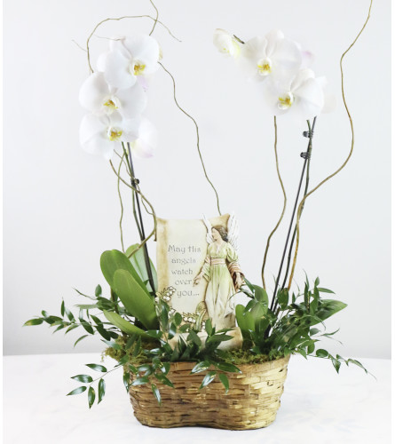 Memorial Orchid Planter Basket