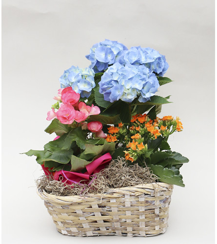 Peter's Spring Garden Basket