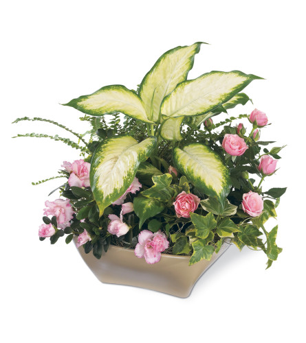 The FTD® Garden of Grace™ Planter