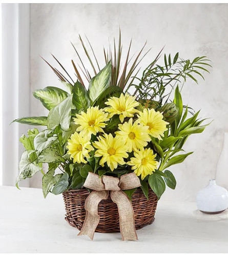 Dish Garden with Fresh Cut Flowers