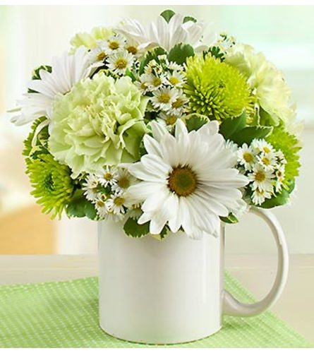 Mugable™ to Say Congratulations
