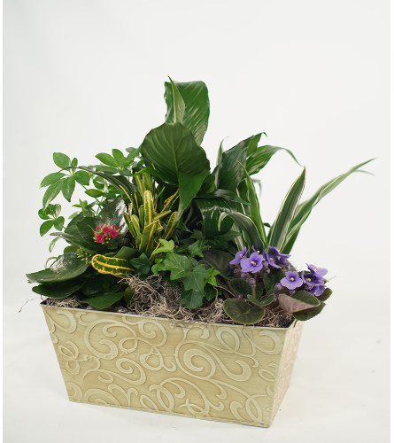 Flower Fantasy Garden Planter