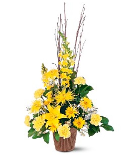 Brighter Blessings Arrangement