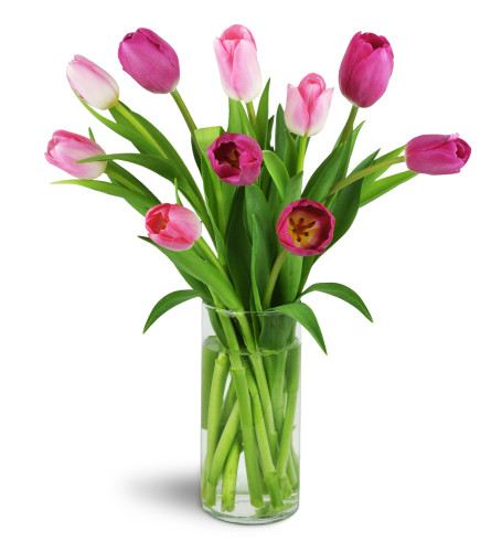 The Sweet Tulips » Send Flower Bouquets