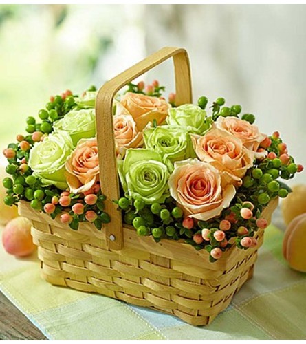 Basket Full of Roses