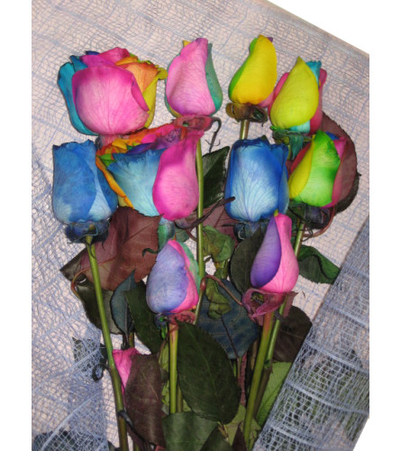 Beautiful Rainbow Roses