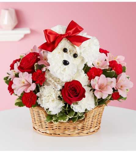 New Puppy Gift Basket Flower Delivery Round Rock Texas - Floral Fabulous