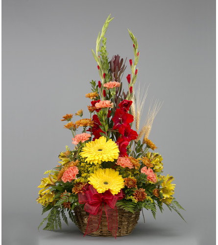 Autumn Harvest