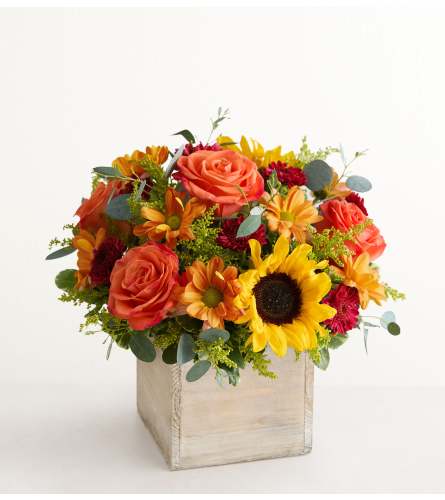The Harvest Glow™ Bouquet - Deluxe. An arrangement by Susana's Flowers.