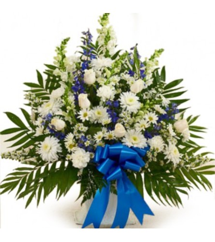 Whites and Blues Sympathy Arrangement